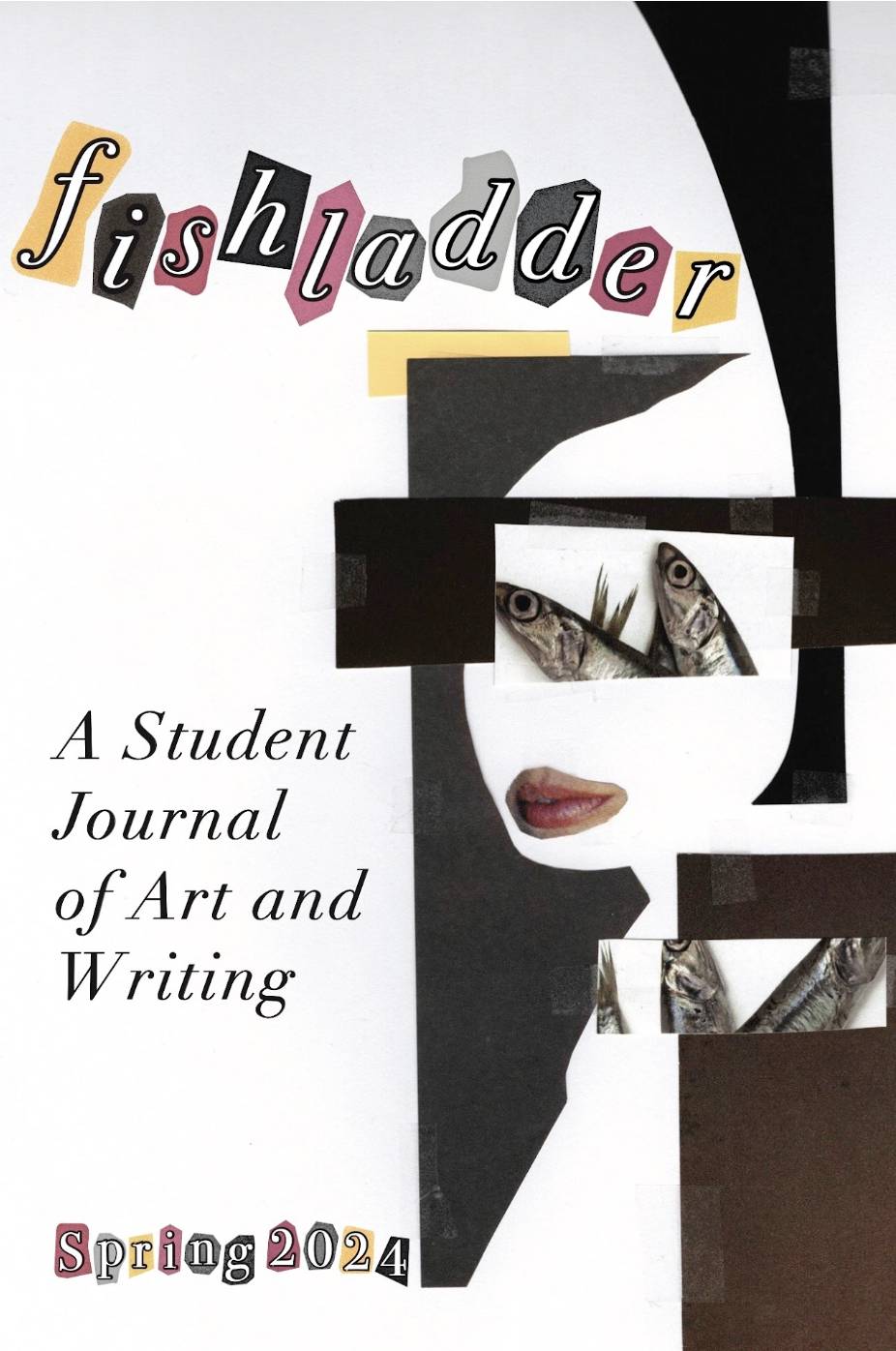 cover of fishladder publication 2024